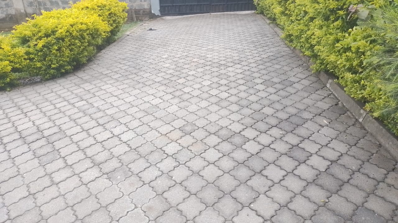 Terrazzo cleaning service