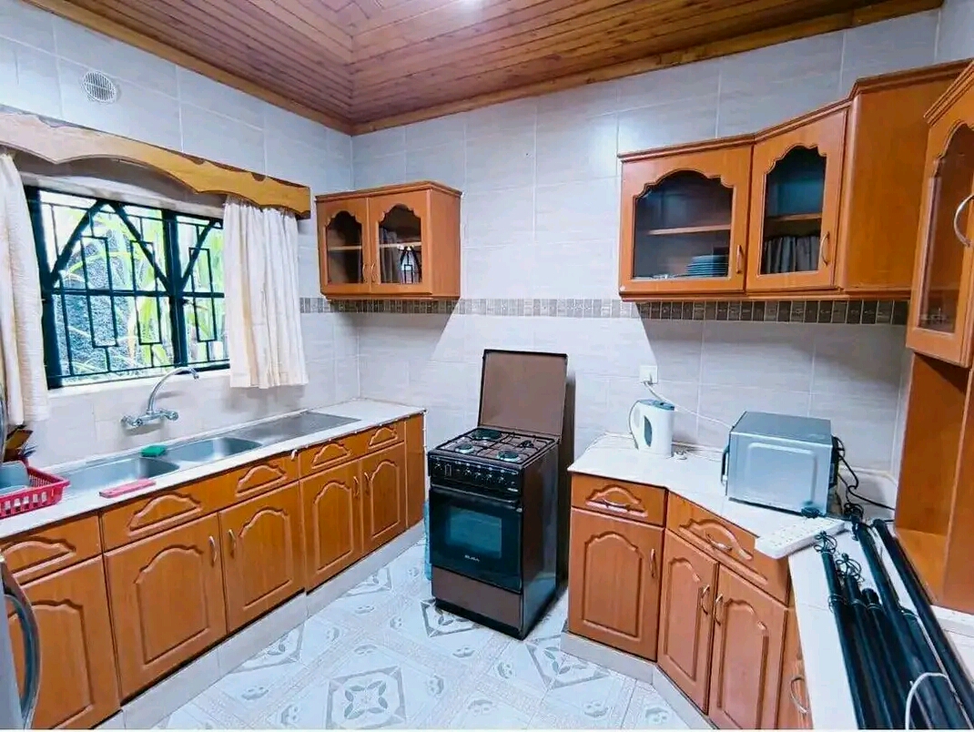 Kitchen Cleaning